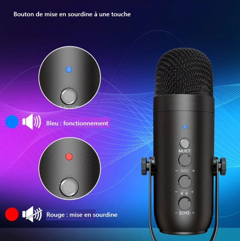 Microphone USB Pro Kit Complet Studio