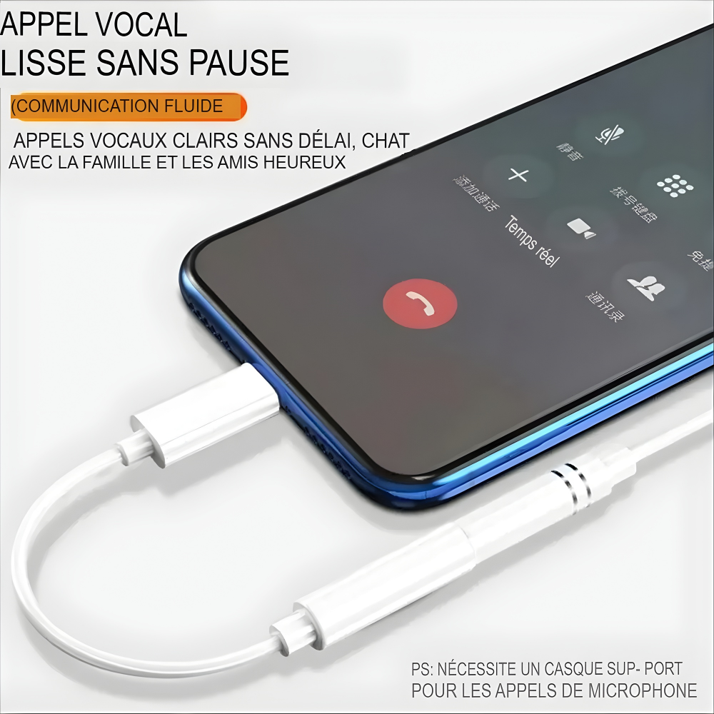 Adaptateur pour Jack