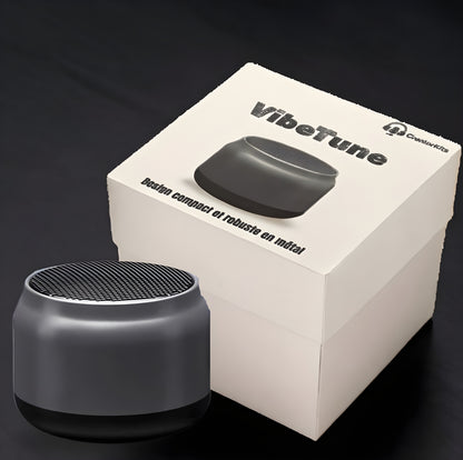 Haut-parleur Bluetooth sans fil